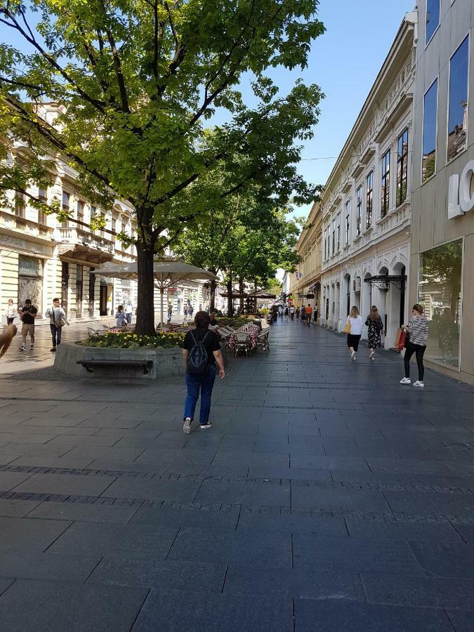 Ferienwohnung Jolie Belgrad Exterior foto